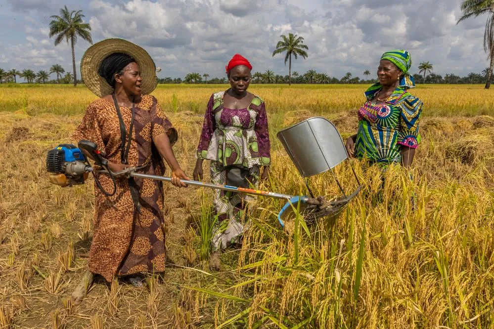 Ssaolar Energy as a Catalyst for Rural Development